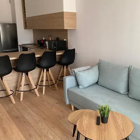 Rakowicka Modern Apartment-2